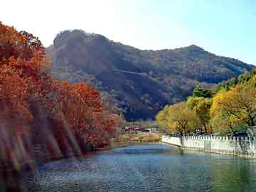 澳门二四六天天彩图库，超高板